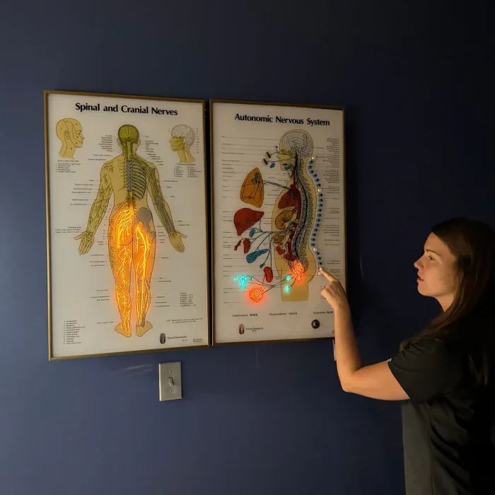 Reviewing the spinal nerve chart with a patient at Full Circle Health